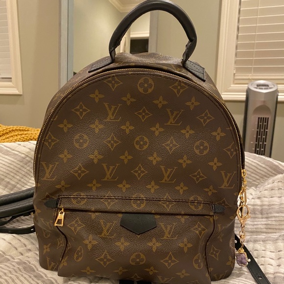 Louis Vuitton Handbags - Louis Vuitton Palm Springs Backpack